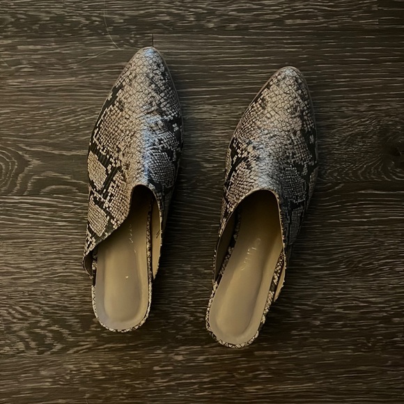 Coconuts by Matisse - Chloe snakeskin pointed toe slip ons - Picture 2 of 5